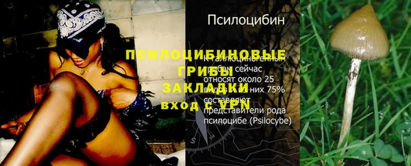 герыч Бугульма
